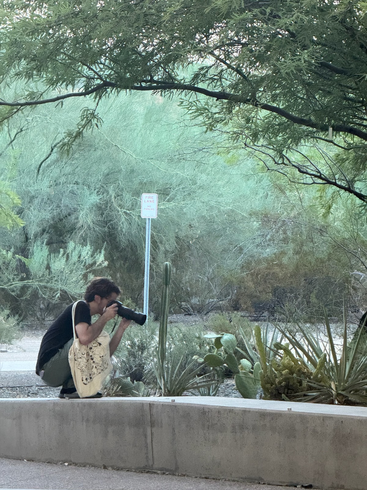 Jonah crouching with a camera, taking pictures of cacti at ASU's Diane and Bruce Halle Skyspace Garden.